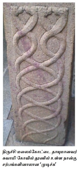 amrutha-2014-01-arunn-marundheeswarar-borromean-fig-08