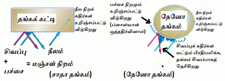 amrutha-2014-02-arunn-thangathin-niram-nilam-fig-1
